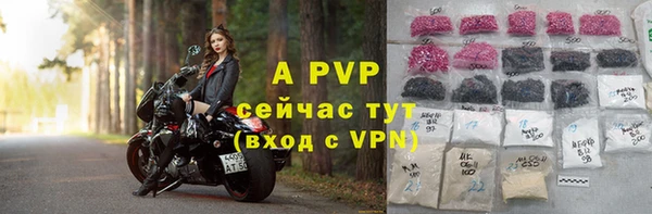 дживик Сатка