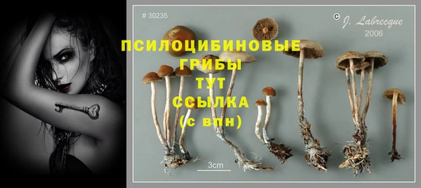 марки lsd Абаза